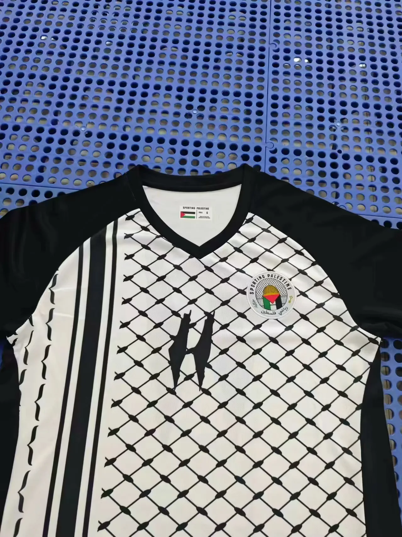 Palestine 2024